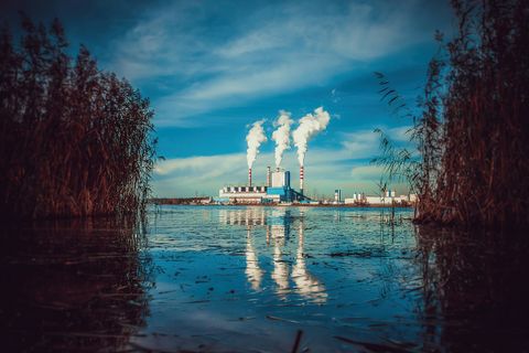 Elektriciteitscentrale met drie rokende schoorstenen, gezien over een meer tussen het riet